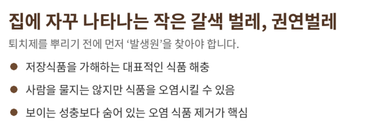 집에 자꾸 나타나는 작은 갈색 벌레, 권연벌레는 어디서 생길까? 퇴치보다 먼저 해야 할 것