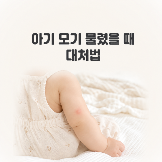 아기 모기 물렸을 때 대처법｜연고·모기패치 사용해도 될까?