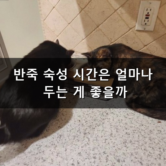 얼큰 수제비 끓이는 방법과 맛있게 만드는 노하우
