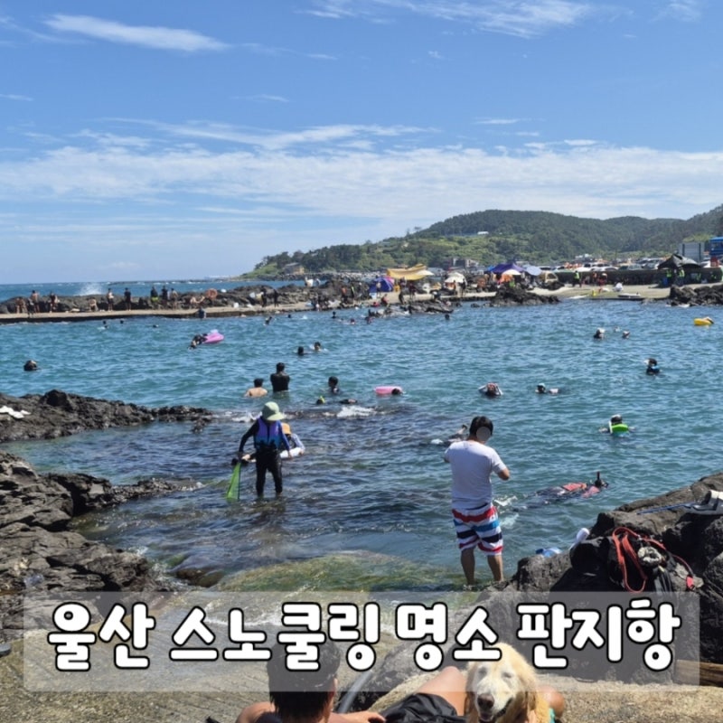 울산 판지항 여름 물놀이 즐기기 좋은 스노쿨링 명소