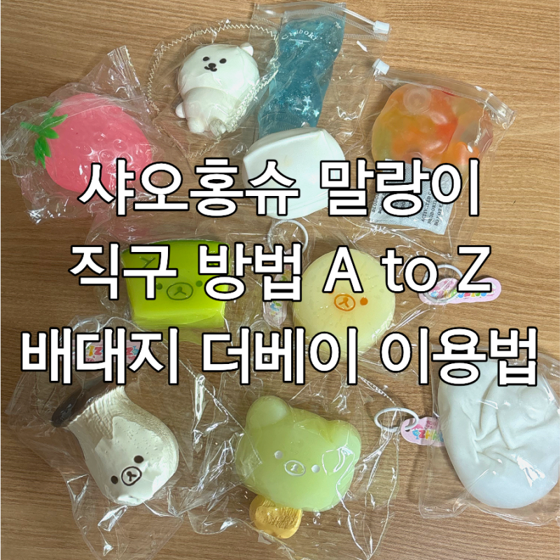 샤오홍슈 말랑이 크런치 슬랑이 직구 방법 다 떠먹여드립니다 | 배대지 더베이 위챗페이 이....