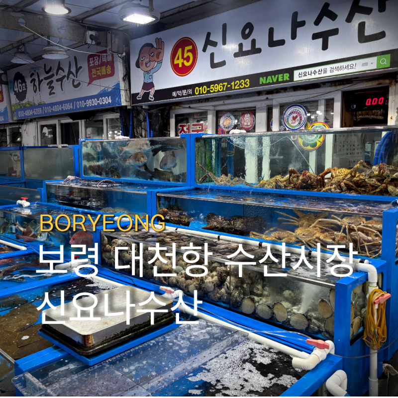 충남 보령 대천해수욕장 근처 횟집 대천항 수산시장 맛집 신요나수산 포장후기
