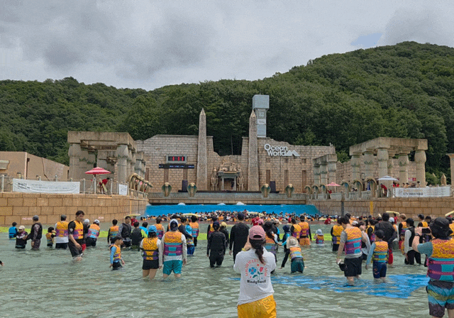 홍천 오션월드 내돈내산 이용후기: 필수 준비사항, 어트랙션, 식당 메뉴