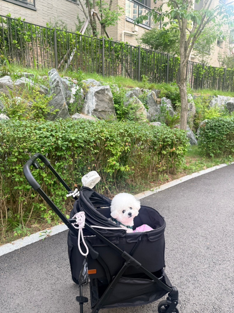 가성비 강아지 유모차 추천 펫테나 뉴턴 NEWTON 직접 써본 후기