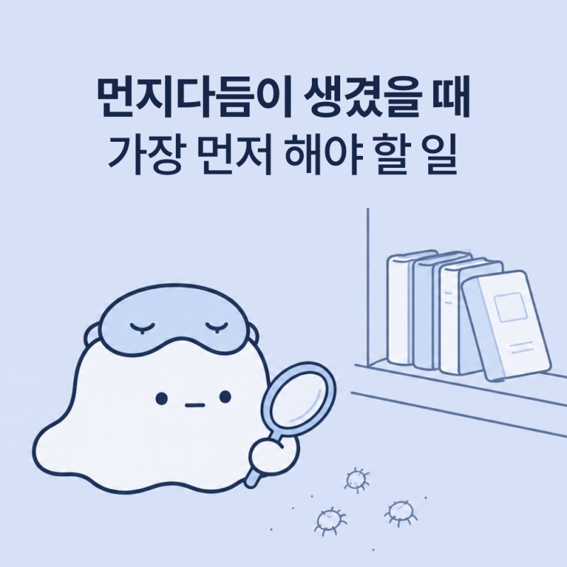 먼지다듬이 생겼을 때 가장 먼저 해야 할 일, 살충제보다 습도부터 잡아요