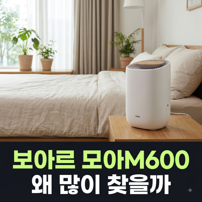 미니제습기 화장실 원룸 추천 장마철 이걸로 보아르 모아 M600으로 해결