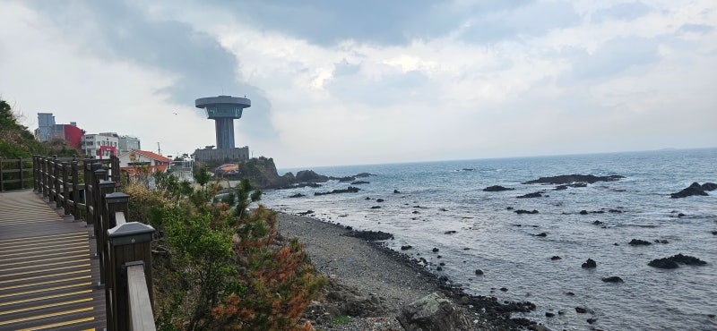 경주 읍천항부터 수렴마을까지 걸어보니/주상절리·하서해안공원 해안 트레킹/해파랑길10코....