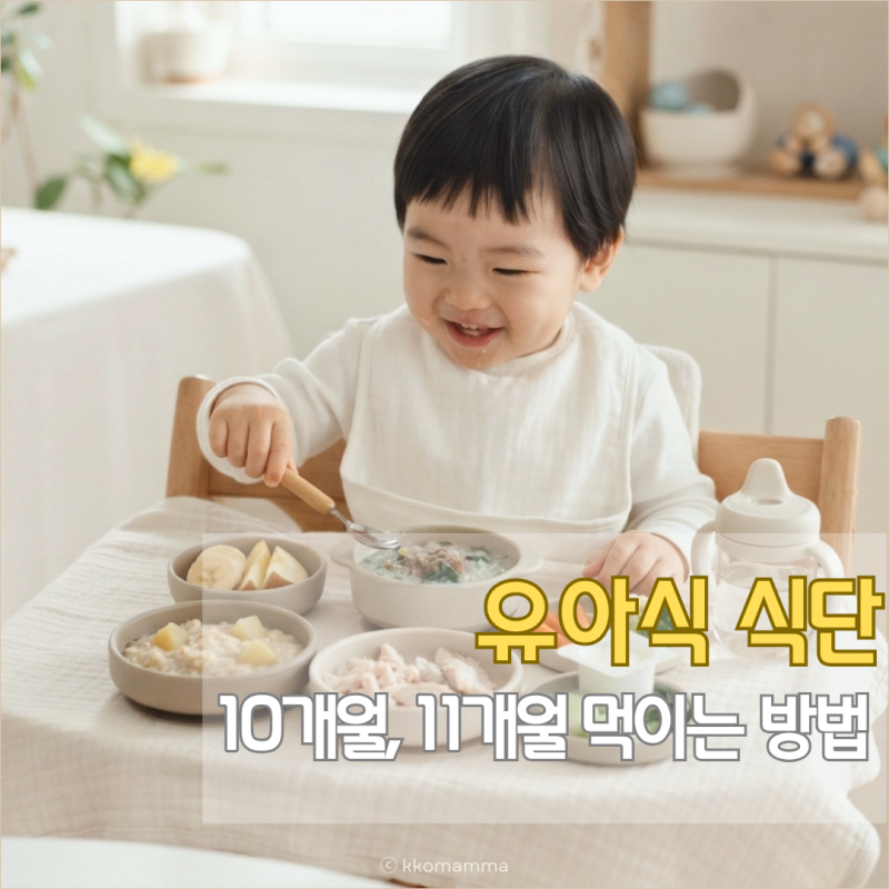 10개월 아기 11개월 유아식, 식단부터 먹이는 방법까지