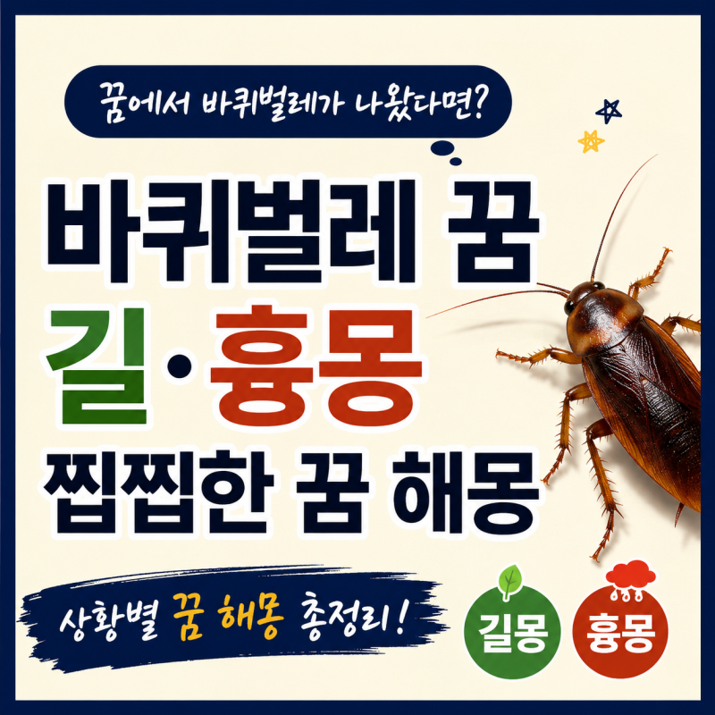 바퀴벌레 꿈 길·흉몽 찝찝한 꿈 해몽