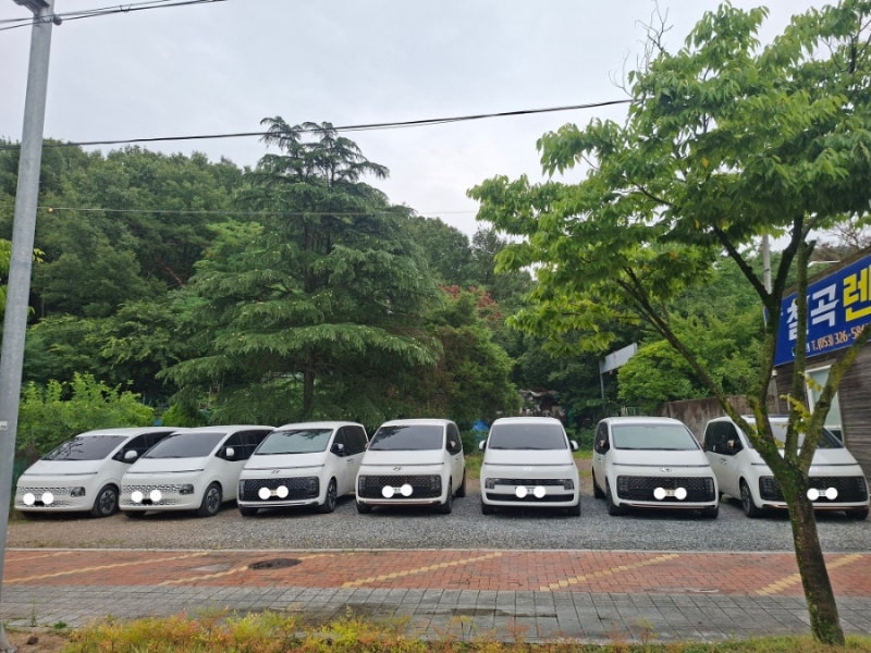대구공항 승합차 렌트카 쏠라티 스타리아 카니발 렌트 추천