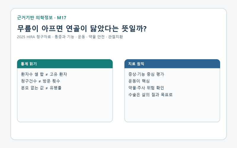 무릎이 아프면 연골이 닳았다는 뜻일까? M17, 2025 심평원 청구자료로 읽는 진단·운동·약물·....