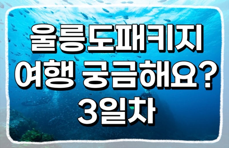 울릉도 2박3일 패키지여행 일정이 궁금해요 ㅣ3일차 자유여행 후 포항으로