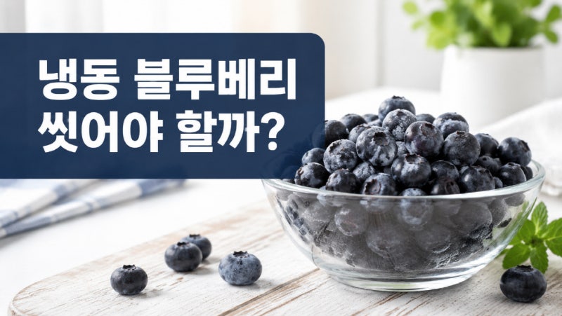 냉동 블루베리 씻어야 할까? 세척법과 하루 섭취량 정리