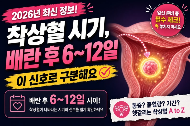 착상혈 시기, 배란 후 6~12일 이 신호로 구분해요 (2026)