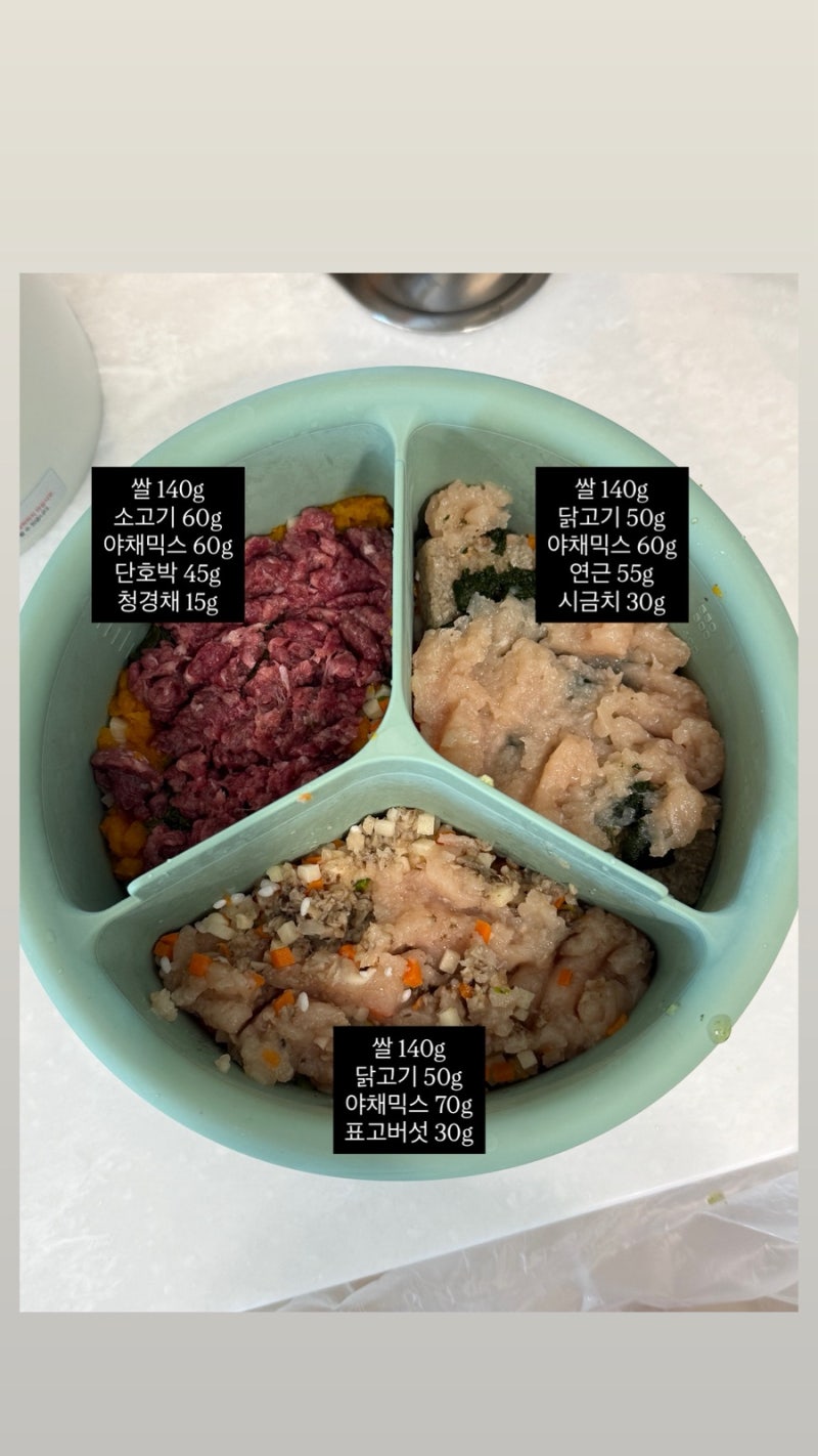 이유식 후기 빨간우산 전자렌지 에디슨 이유식찜기 레시피