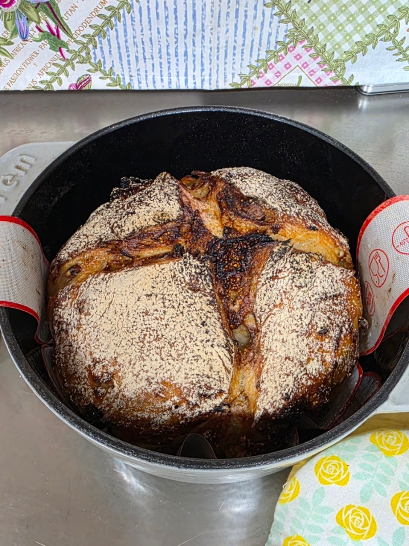 폴리쉬 저온발효 통밀 무화과 깜빠뉴 만들기｜겉은 바삭, 속은 촉촉한 홈베이킹 레시피