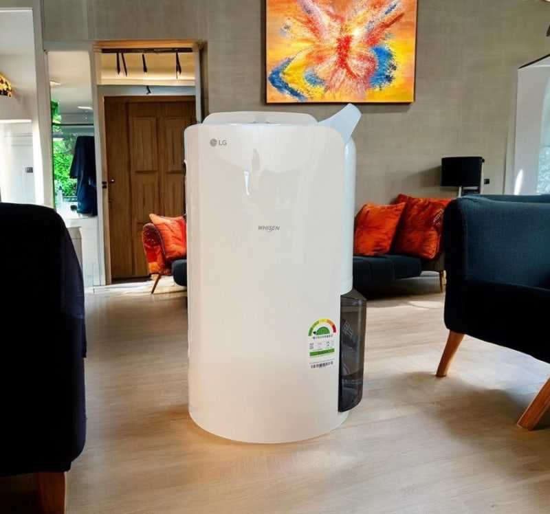 LG 제습기 20L DQ205PBBC 내돈내산 후기｜32평 아파트 거실 아기 있는 집 제습기