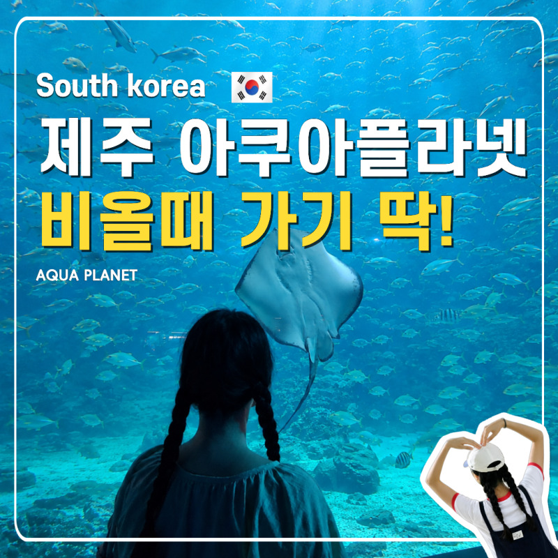 한화 아쿠아플라넷 제주 공연 할인정보 비오는날 가볼만한곳