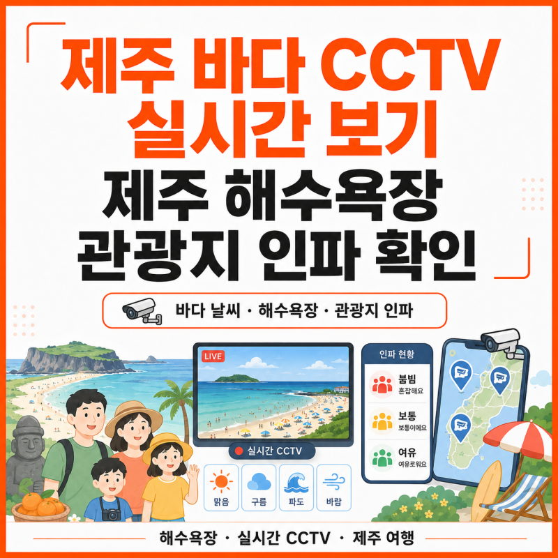 제주 바다 CCTV 실시간 보기｜제주 해수욕장 CCTV·관광지 인파 확인