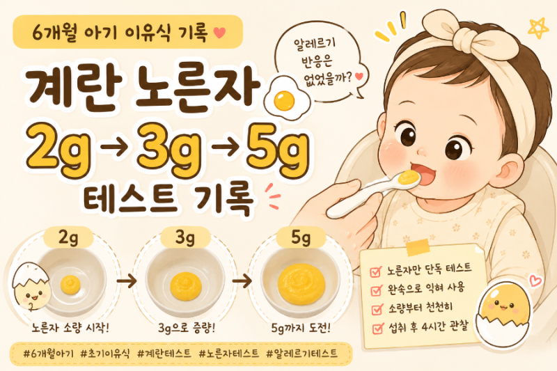 [초기이유식] 6개월 아기 계란 테스트｜초기이유식 계란 몇 g부터? 2g→5g 늘려간 후기