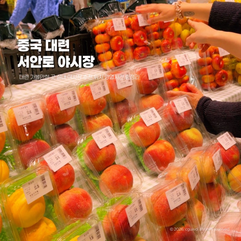 중국 대련 다롄 가볼만한 곳 실내 야시장 추천 서안로 야시장 위치 영업시간 총정리