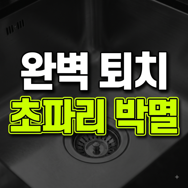 주방 싱크대 배수구 초파리 생기는 이유와 확실하게 없애는 방법 4가지