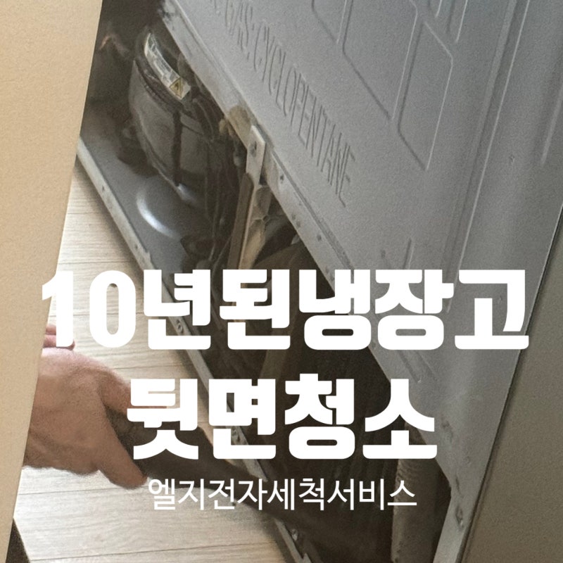 내돈내산) 엘지전자 가전세척서비스 이용후기