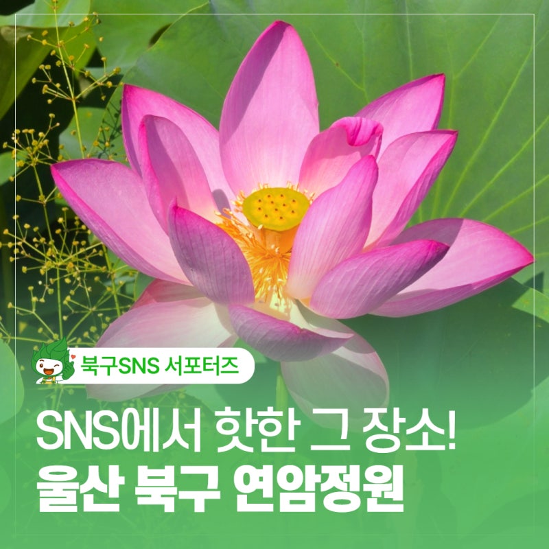 울산 북구 가볼만한 곳 도심 속 연암정원 산책 & SNS 통나무 다리 위치
