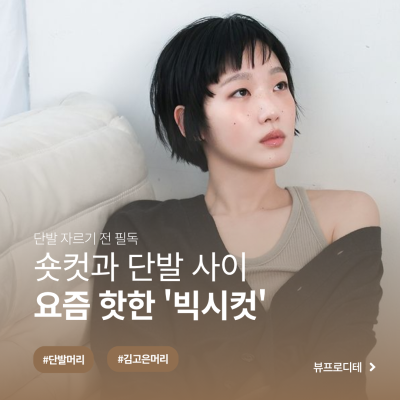 김고은 머리 vs 박규영 단발, 요즘 뜨는 '빅시컷' 또 바뀐 단발 유행