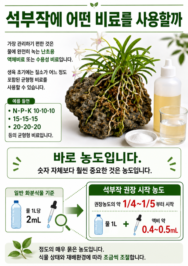 석부작 난초 비료 관리｜풍란·석곡 월별 물주기와 영양 공급법