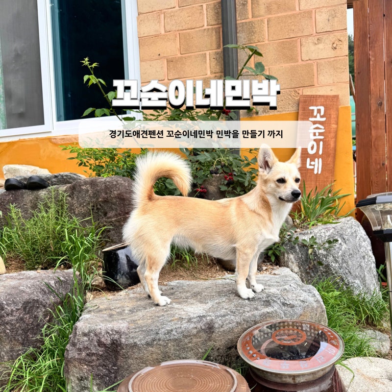 경기도애견펜션 꼬순이네민박 민박을 만들기 까지