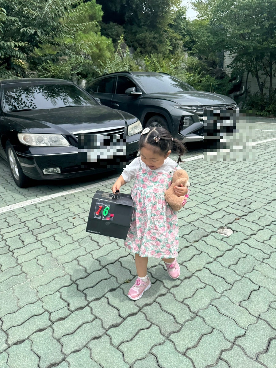 소나무 사진 3
