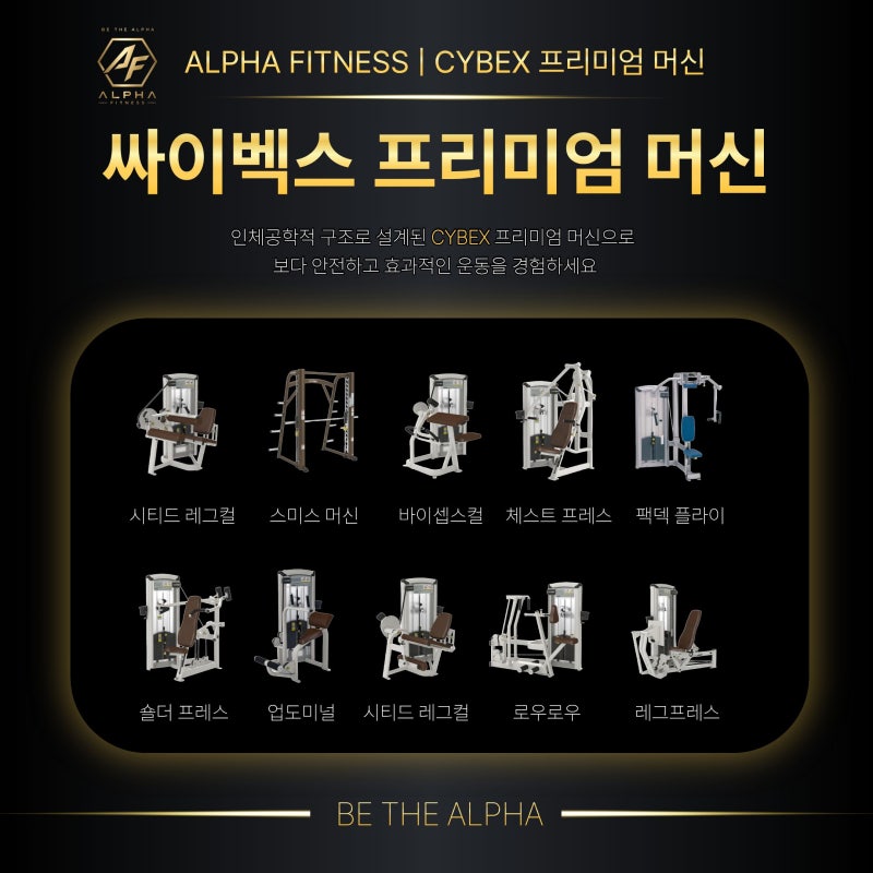 [숭인동헬스장] 알파 피트니스 프리미엄 머신 싸이벡스 입고완료
