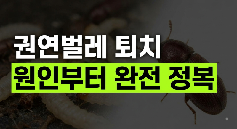 권연벌레 퇴치 방법 총정리｜생기는 원인부터 물린자국, 유충 없애는 법까지
