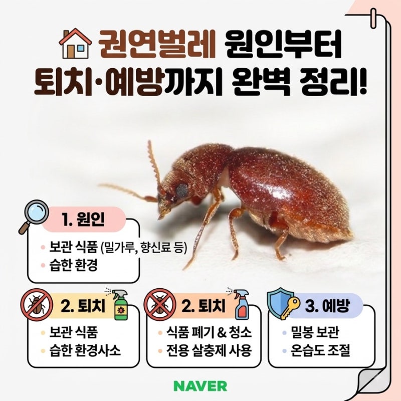 권연벌레 원인부터 퇴치·예방까지 완벽 정리!