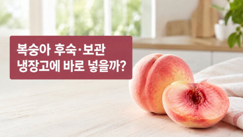 복숭아 냉장고에 바로 넣으면 안 될까? 후숙·세척·보관법