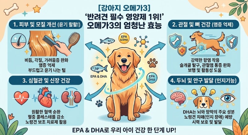 [강아지 오메가3] "반려견 필수 영양제 1위!" 오메가3의 엄청난 효능과 똑똑하게 고르는 법