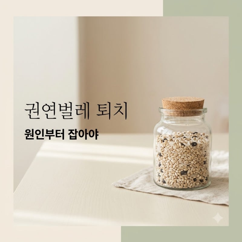 권연벌레 퇴치, 원인부터 잡아야 재발 막아요 (페로몬 트랩 후기)