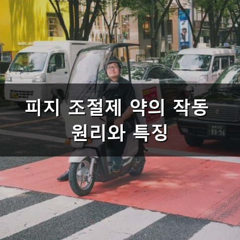 이소티논 후기 피지 조절제 복용 전 알아야 할 핵심 정리