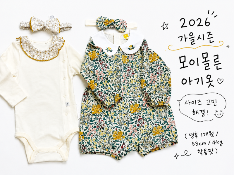 2026 가을시즌 모이몰른 다나바디수트, 아모르 우주복 후기