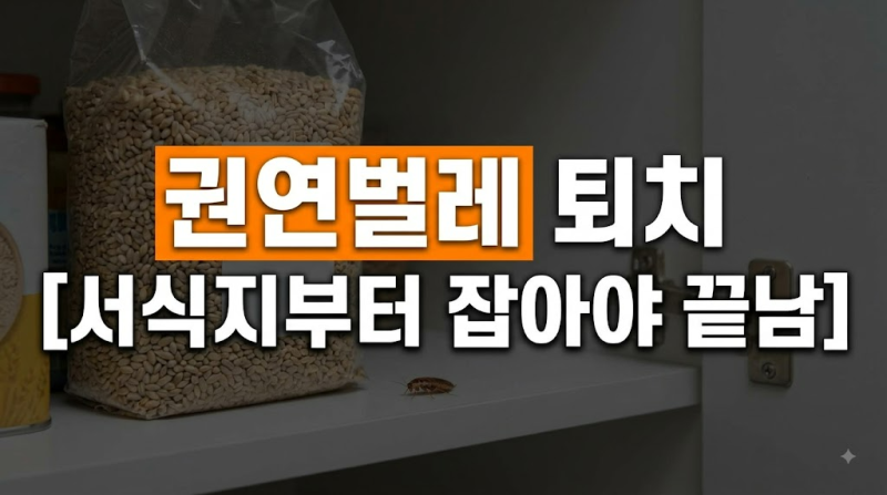 권연벌레 원인부터 유충 퇴치, 트랩 설치 및 물린 자국 케어법 총정리