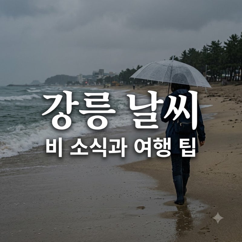 "연휴에 비라니.." 강릉 날씨 15일부터 3일간 반전 상황? 우산 챙기세요
