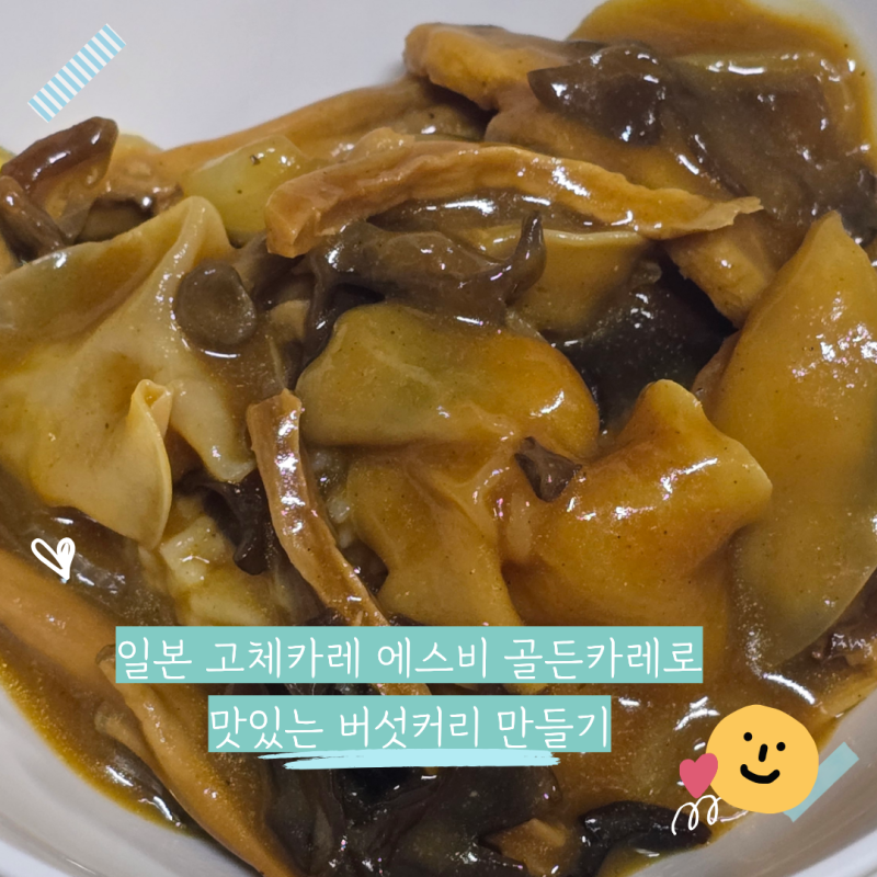 에스비 골든카레 매운맛 : 일본 고체커리 버섯카레 레시피