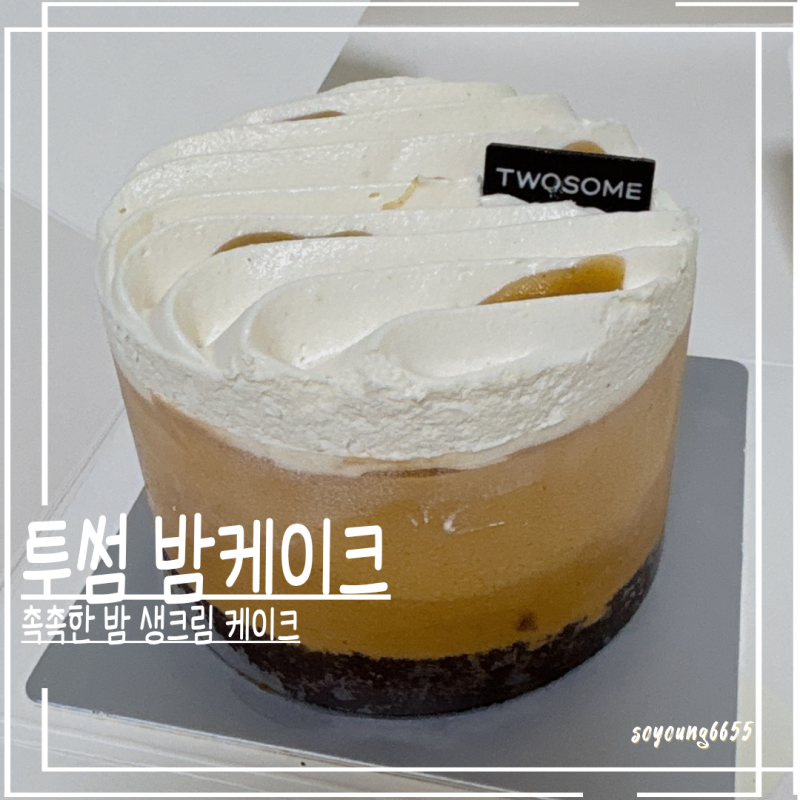 투썸 밤 생크림 케이크 쁘띠 후기 | 진한 밤맛 취향저격