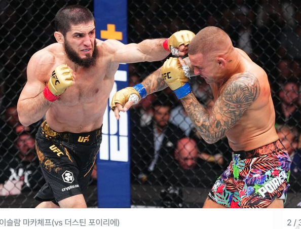 UFC 330 <b>마카체프 이안 개리</b> 중계 경기시간 예상 승자는?