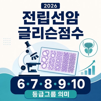 전립선암 글리슨점수 총정리｜6·7·8·9·10과 등급그룹 의미