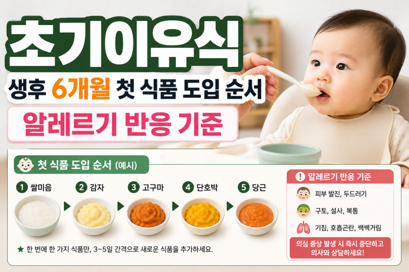 초기이유식 — 생후 6개월 첫 식품 도입 순서와 알레르기 반응 기준