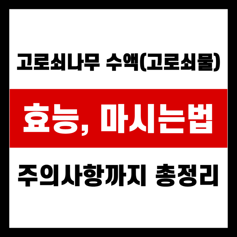 고로쇠나무 수액(고로쇠물) 효능, 마시는법, 주의사항
