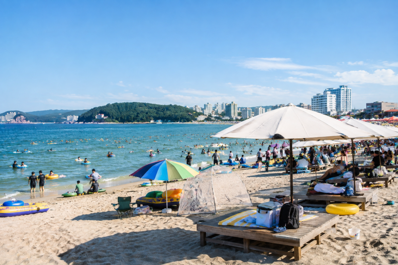 2026 강원도 해수욕장 폐장일 언제? 강릉 속초 양양