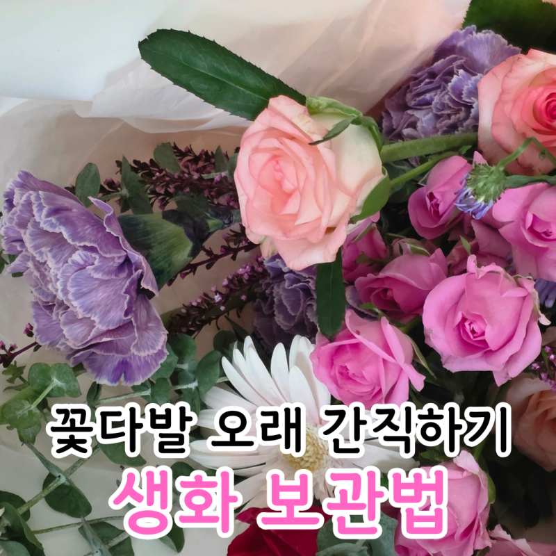 생화 보관법, 꽃다발의 아름다움을 오래 간직하기